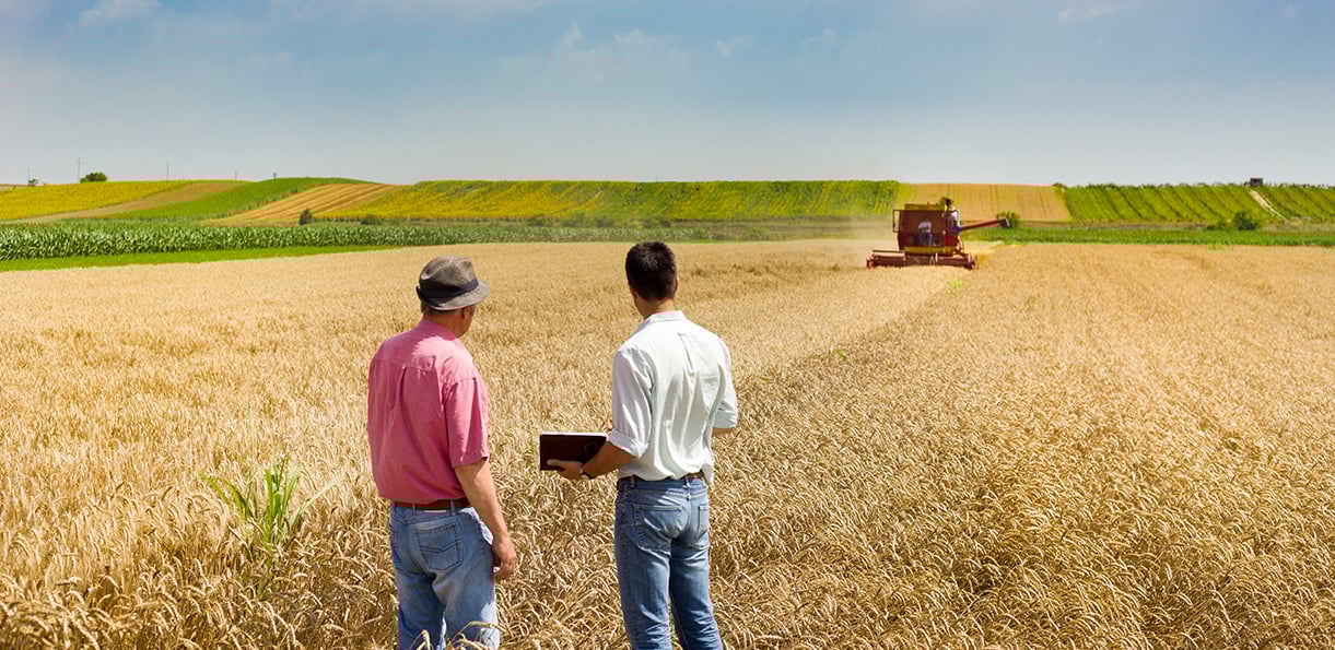 Make the world better